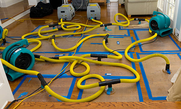 Professional Burst Pipe Water Damage technician working in Lebec, CA